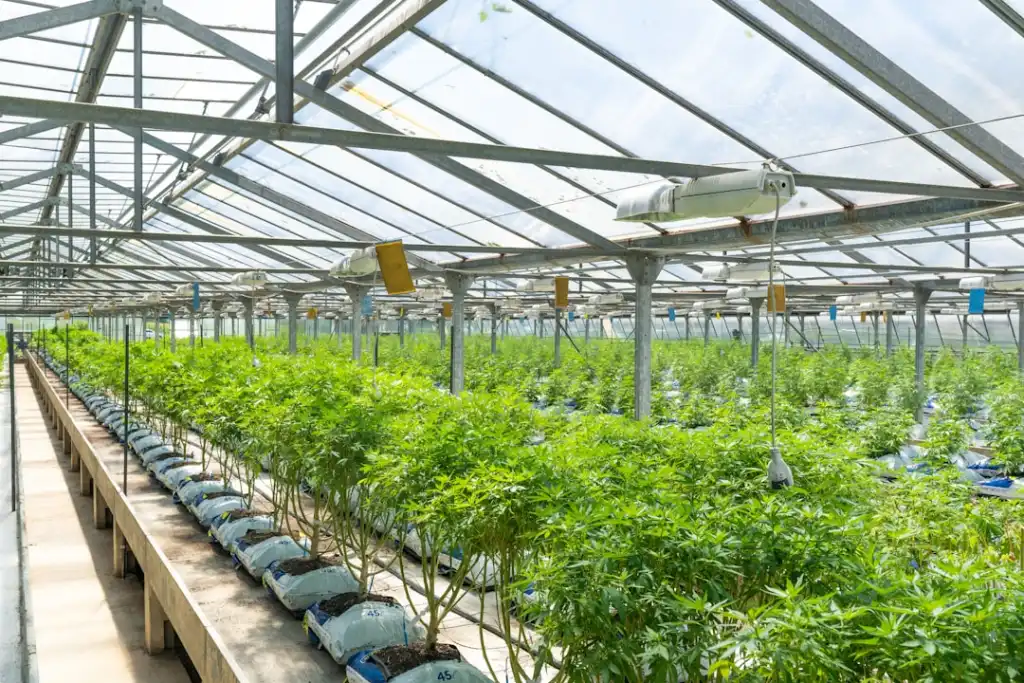 佛山制造企业智能化升级中自动化设备选型与产线改造要点