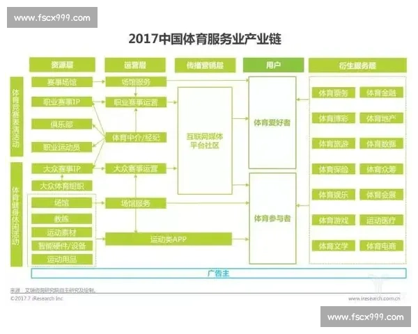 流量运动员时代竞技实力与商业价值的双重博弈与重塑中国体育生态新变局